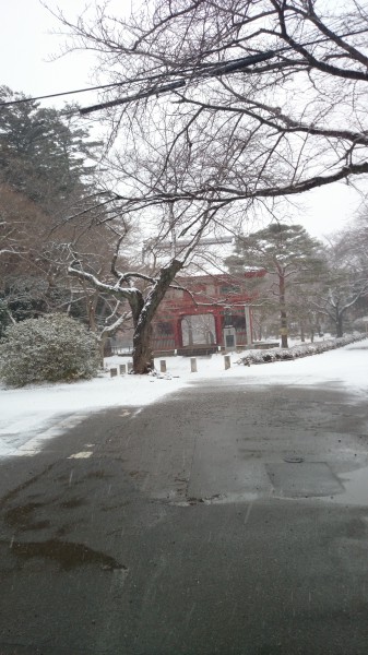 清水公園　雪