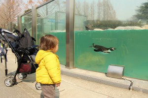 ペンギンと